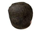 Low-poly Brown Hair layer