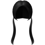 Low Straight Pigtails in Black