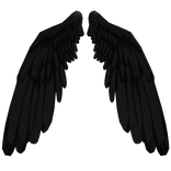 Lowered Black Angel wings