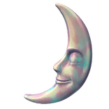 Lunar Companion Pink and Blue Holographic Add-On