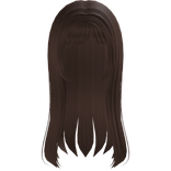 ❤️✨ Lush Long Brown Hair