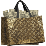 LV Gold Bag