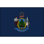 Maine State Flag Pin