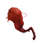 Manager of La mancha Don Quixote's Boa