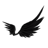 Matte Black Feathered Stellar Wings