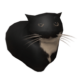 Maxwell Cat Shoulder Pet