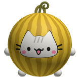 melon cat