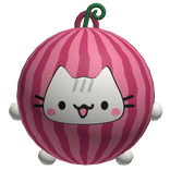 melon cat