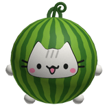 melon cat