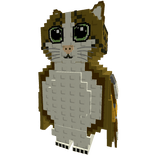 🐱 Meowl Limited Brainrot