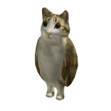Meowl Meme