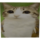 Meowl Meme Profile Picture