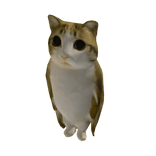 Meowl Suit