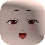 MeshAccessory