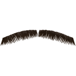 Meshes/beard2Accessory