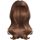 Meshes/CHER5Accessory