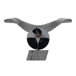 Meshes/mikepicchainAccessory