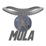 Meshes/mulaAccessory