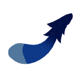 Meshes/UrsTailAccessory