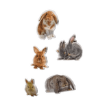 harajuku igari kei easter bunny stickers ♡ 