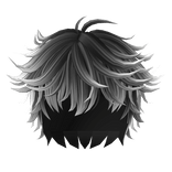 🍀Messy Anime Boy Hair (Black&White)