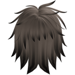 Messy Emo Fluffed Up Hair In Brown Black Tips