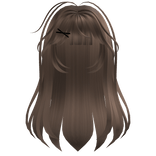 Messy Straight Cute Girl Hair Brunette