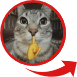 Mewing Cat Red Circle