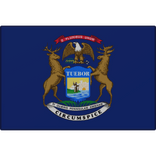 Michigan State Flag Pin