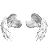 Midnight Dark Angel Wings – Divine Light