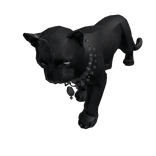 Midnight Panther