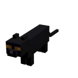  Mini Black Cat [3X Less]