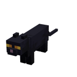 Mini Black Cat Suit [2X Less]