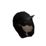 Mini Maxwell Cat Suit