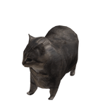 Mini Oiiaioooooiai Cat Suit