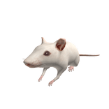 Mini Tiny Mouse Rat Suit (works in game)