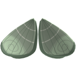 Mint Green Moth Wings