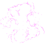 Miracle Sonic Aura 2/2