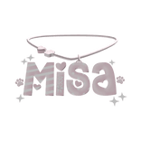 misa