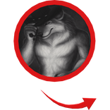 moderator wolf red circle meme