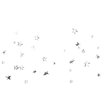 Monochrome Glitch Black White Blinking Stars