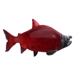 Monsterous : Sockeye Salmon