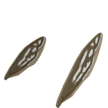 Moth Wings On The Head