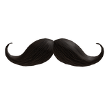 moustache