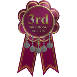 MR HMONG ROBLOX 3RD