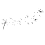 music is our language ; melodic dandelion