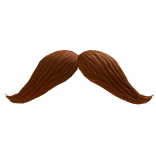 mustache