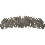 mustache
