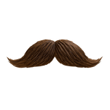 mustache
