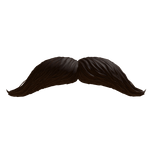 mustache